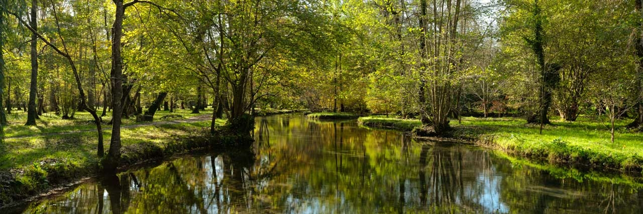 Paysage en Harponge