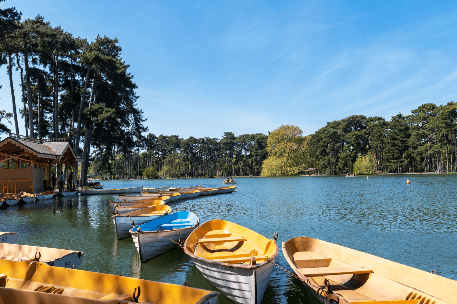 Bois de Boulogne, Paris 16th district of Paris