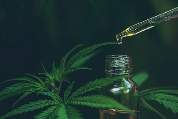 comment utiliser l'huile de cbd